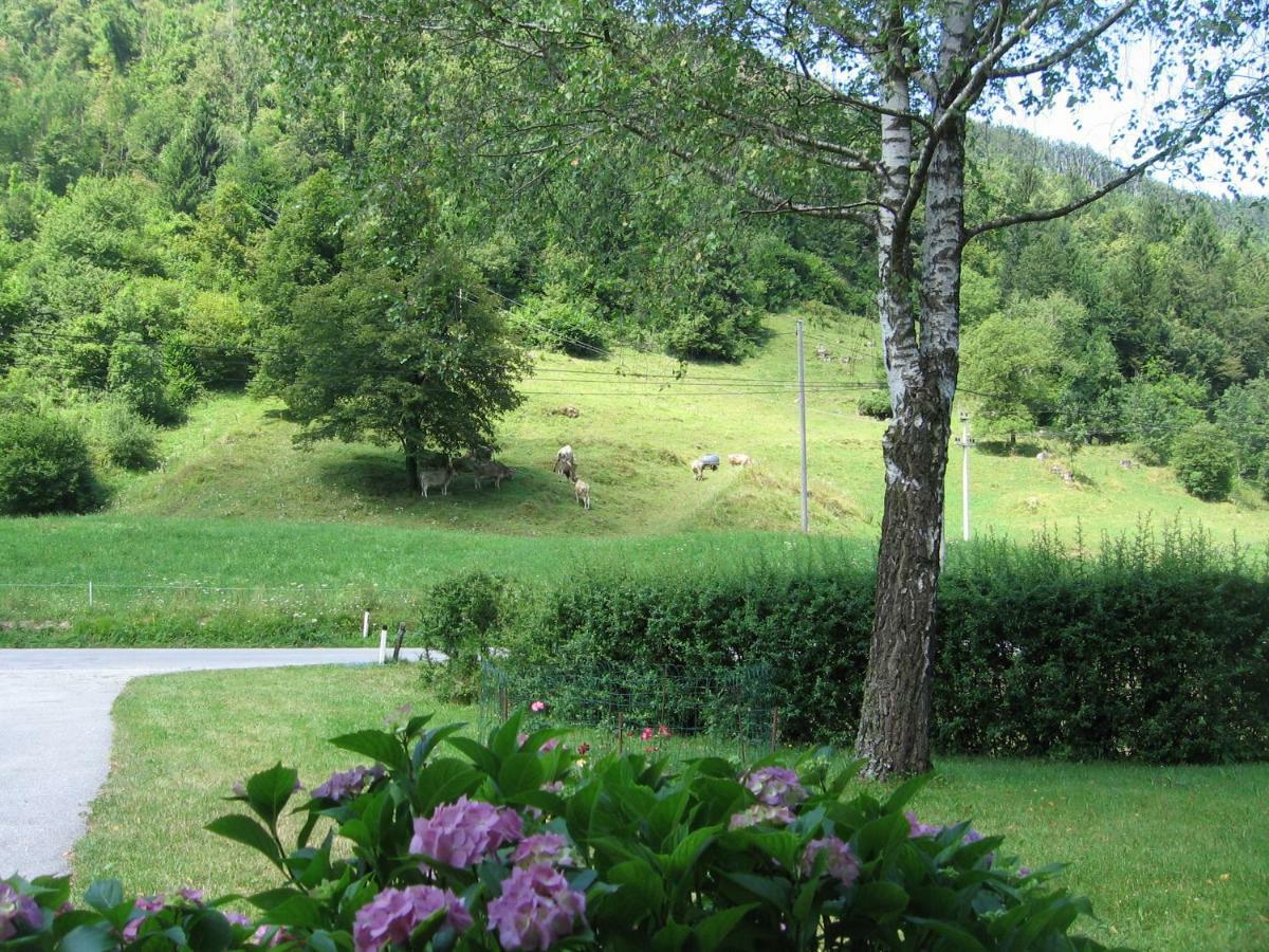 Villa Vrata Pri Cepovanu Exterior foto